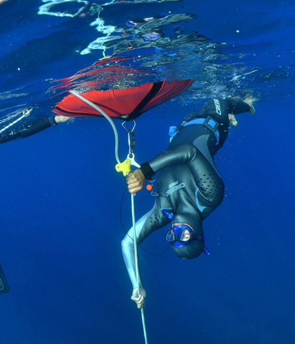 Curso Apnea Avanzado - Club de Apnea la Caretta | Medes Freedivers