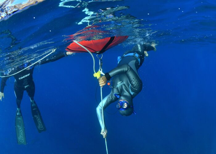 Curso Apnea Avanzado - Club de Apnea la Caretta | Medes Freedivers