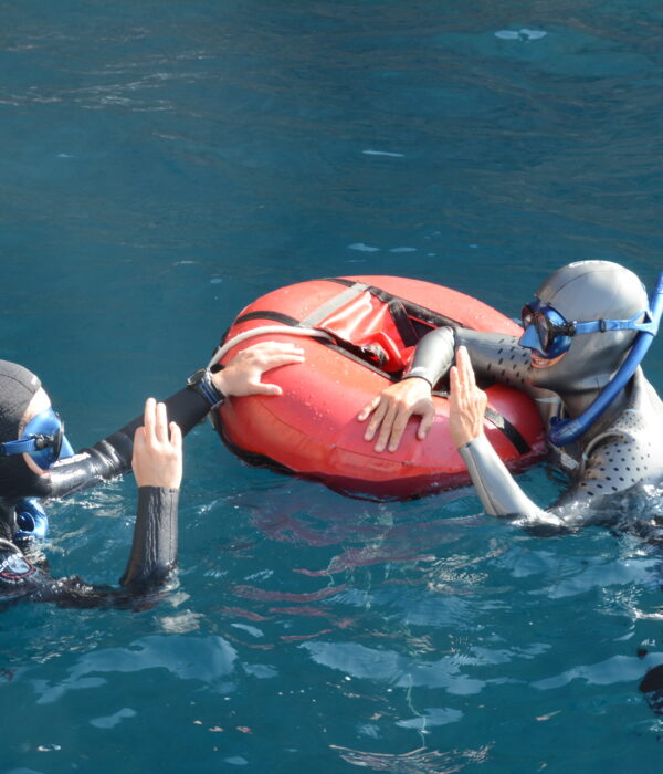 Curso Apnea Master - Club de Apnea la Caretta | Medes Freedivers