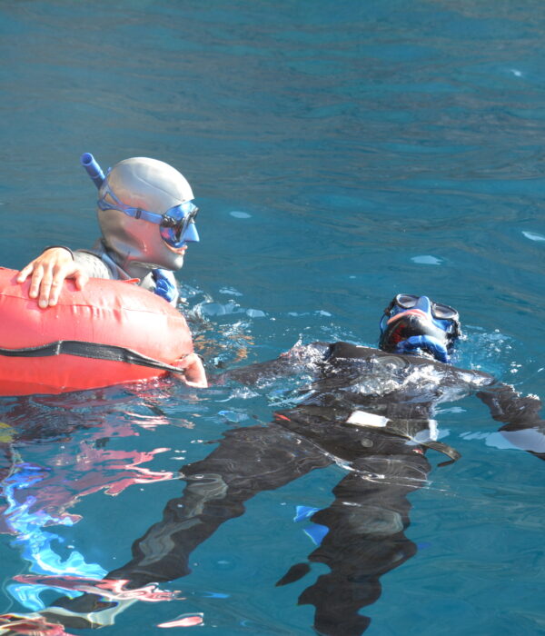Curso Apnea Master - Club de Apnea la Caretta | Medes Freedivers