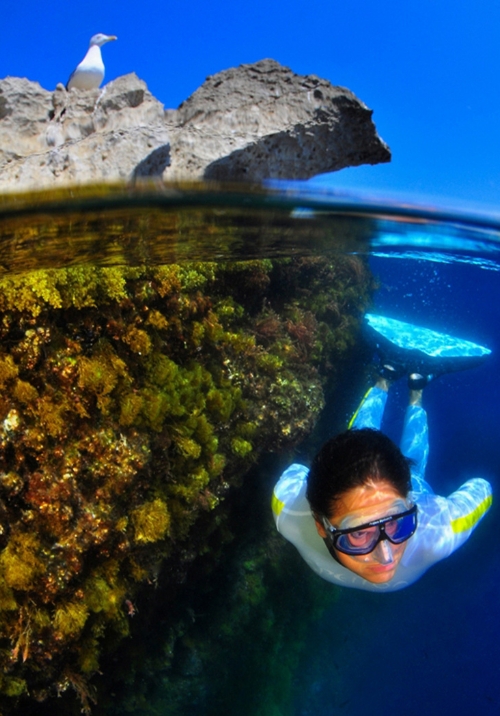 Parque Natural Montgrí, Illes Medes i Baix Ter - Club de Apnea la Caretta