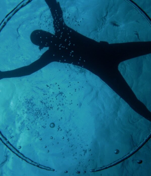 Salidas Apnea Recreativa - Club de Apnea la Caretta | Medes Freedivers