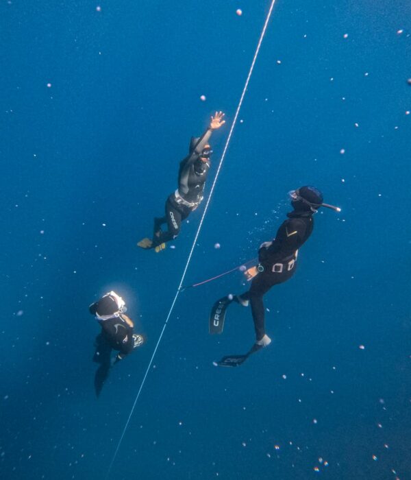 Curso Apnea Master - Club de Apnea la Caretta | Medes Freedivers