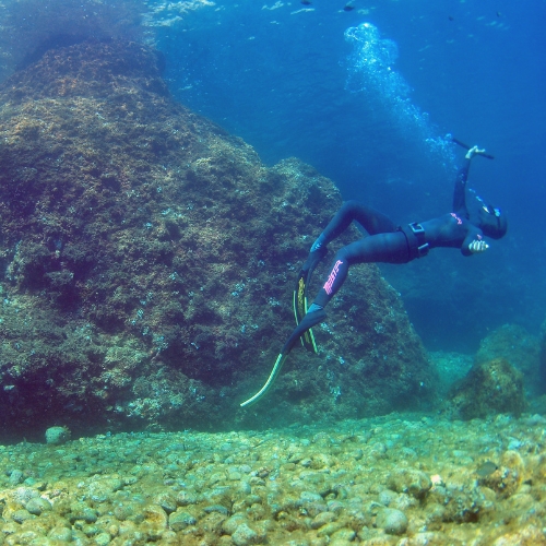 Parque Natural Montgrí, Illes Medes i Baix Ter - Club de Apnea la Caretta
