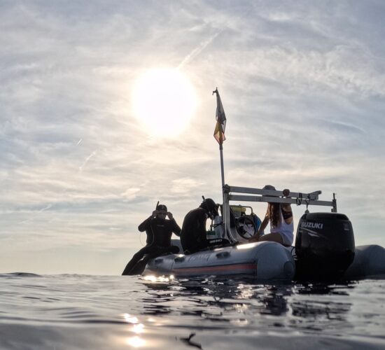 Salida Apnea Recreativa - Club de Apnea la Caretta | Medes Freedivers