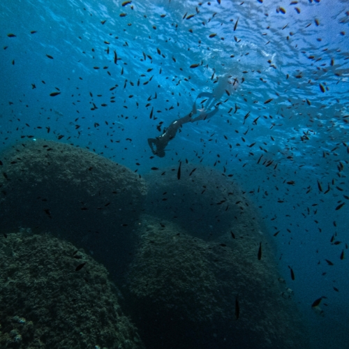 Parque Natural Montgrí, Illes Medes i Baix Ter - Club de Apnea la Caretta