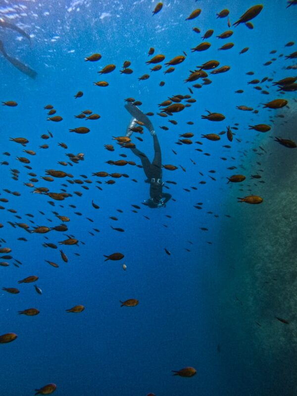 Club de Apnea la Caretta | Medes Freedivers