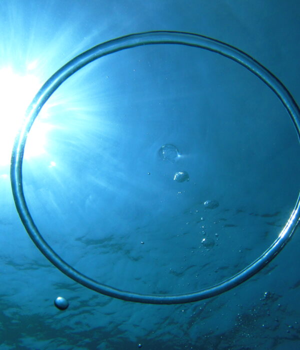 Soporte - Club de Apnea la Caretta | Medes Freedivers