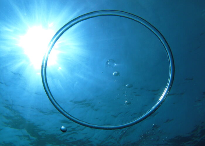 Soporte - Club de Apnea la Caretta | Medes Freedivers
