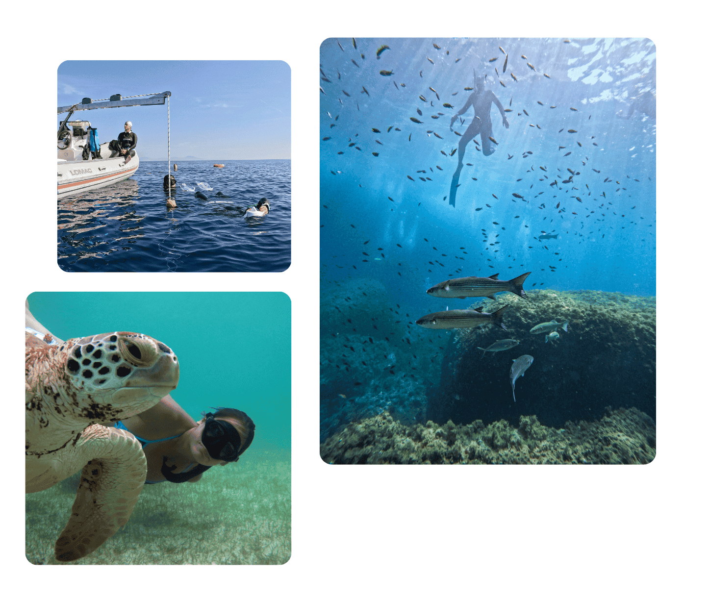Club de Apnea la Caretta - Medes Freedivers
